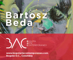 Representation and Abstraction in the Work of Bartosz Beda